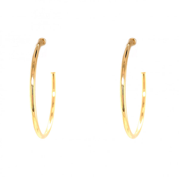 Large Gold Filled Hoop Earrings