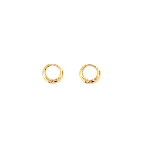 Small Gold Filled Huggie Earrings