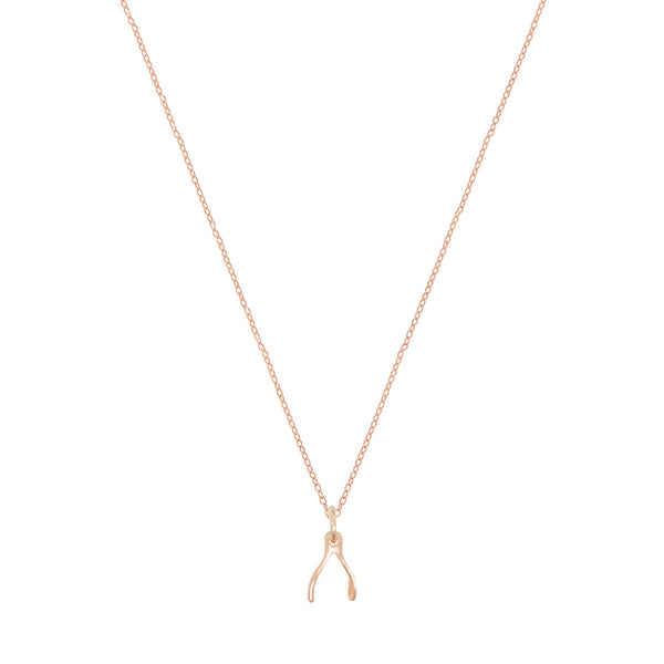 Tiny Wishbone Necklace