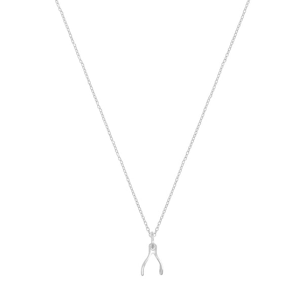 Tiny Wishbone Necklace