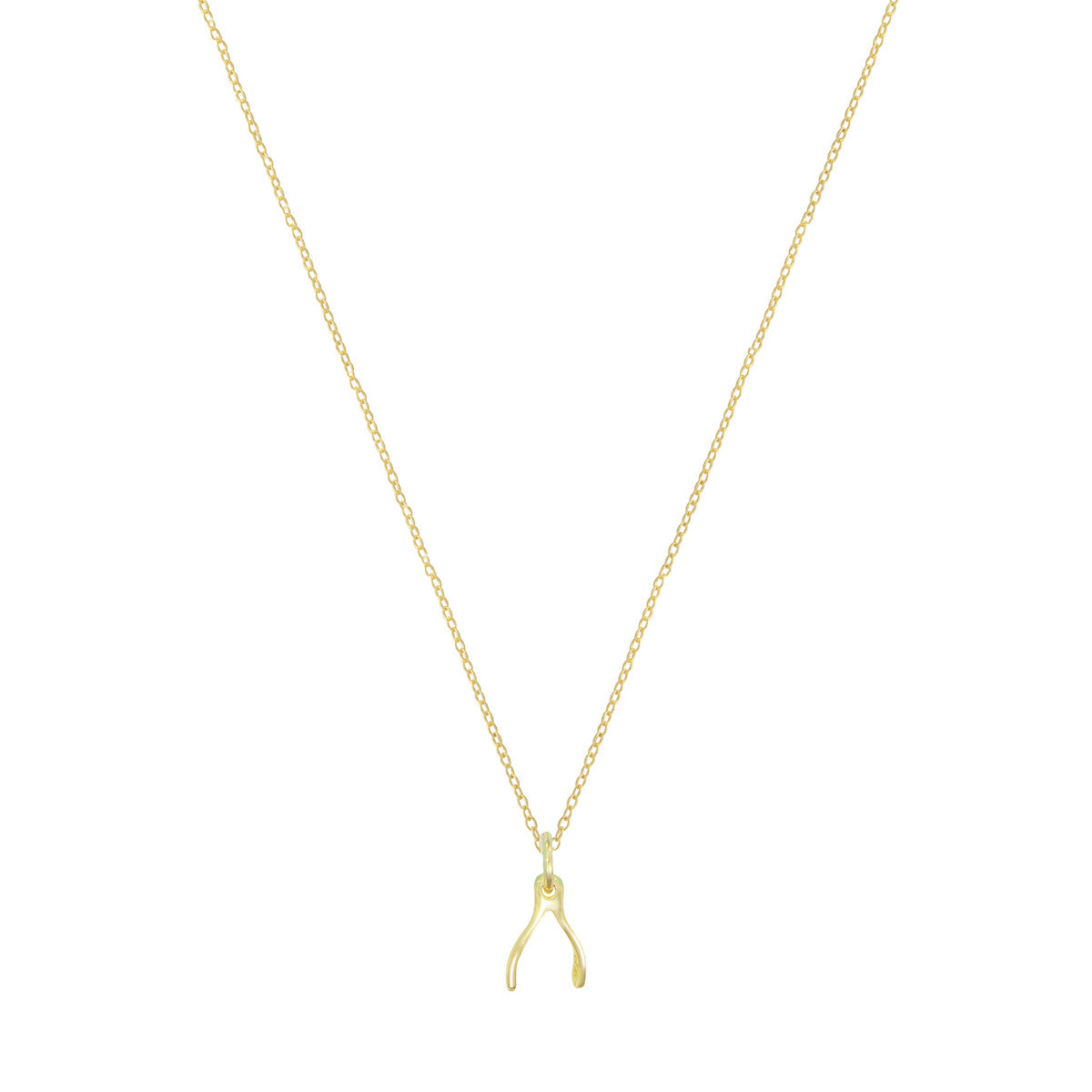 Tiny Wishbone Necklace