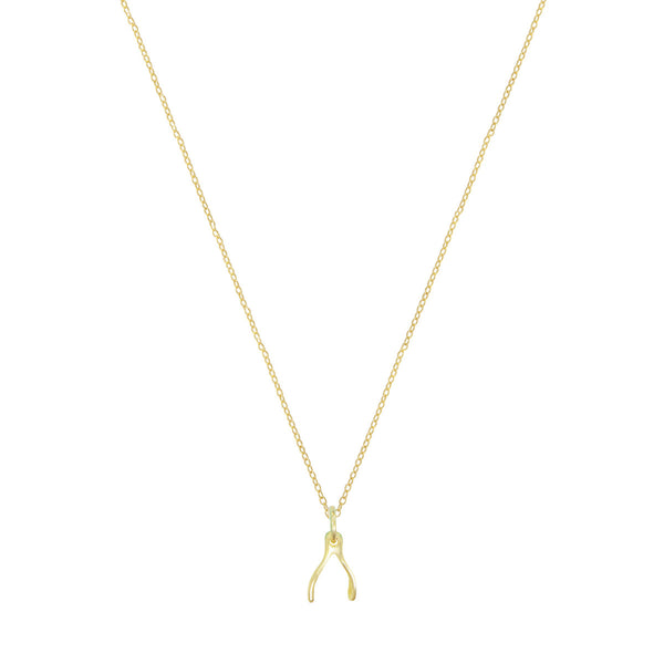 Tiny Wishbone Necklace